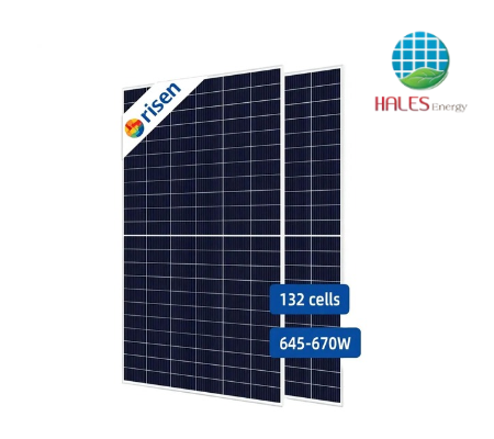 Tấm Pin Năng Lượng Mặt Trời Risen 665Wp P-Type Bifacial Dual-Glass