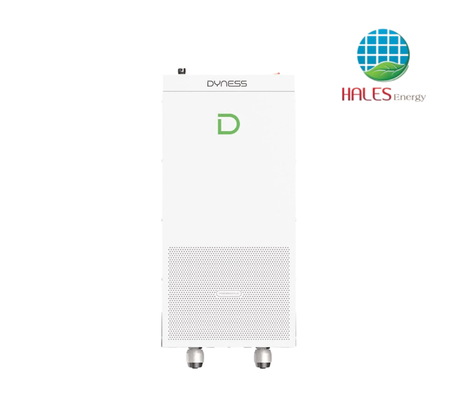 Pin Lưu Trữ Dyness PowerBrick Plus 16.07kWh